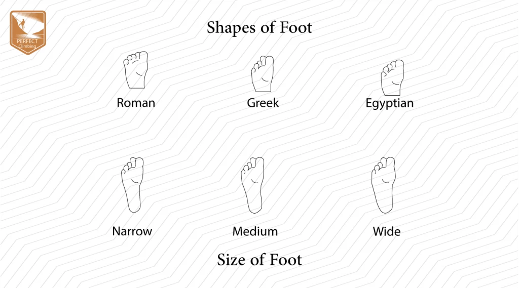 Shapes and Size of foot 1