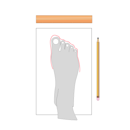 measurement of foot size